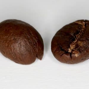 Arabica cầu đất